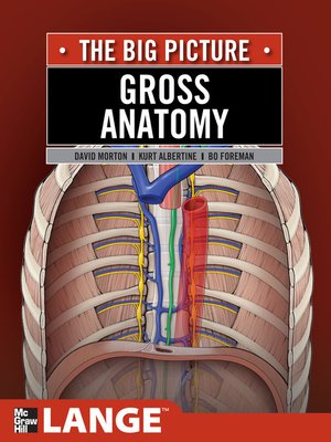 cover image of Gross Anatomy